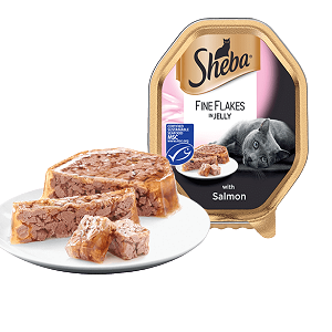 Fine Flakes with Salmon
