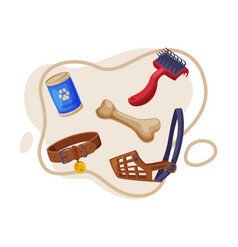 Pet Accessories