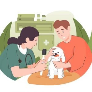 Pets Medicine In Pakistan