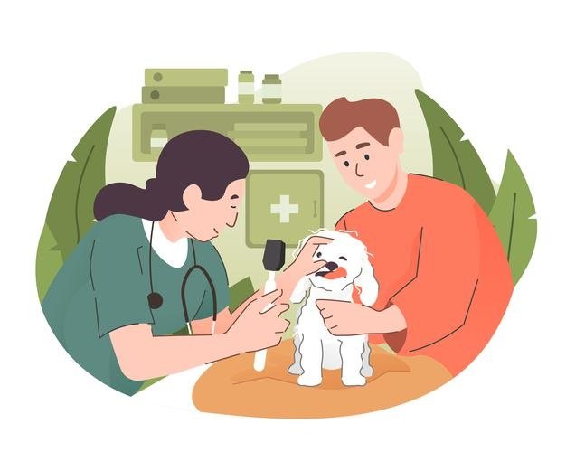 Pets Medicine In Pakistan