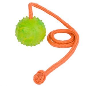 Ball with Rope-Activity Dog Toy for Rottweiler