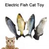 Cat Fish Moving Toy