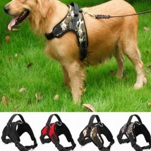 Harness Chest Strap For Dogs