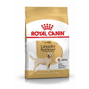 Local dog food stores hot sale