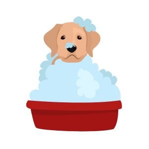 Dog Grooming Supplies