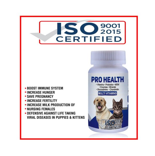 Buy Mega Pro Health Supplement Online in Pakistan