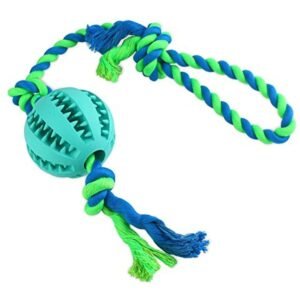 Dog Treat Ball With Rope Toy