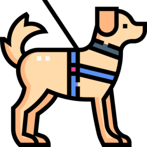 Dog Harness and Leashes