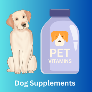 Dog Supplements