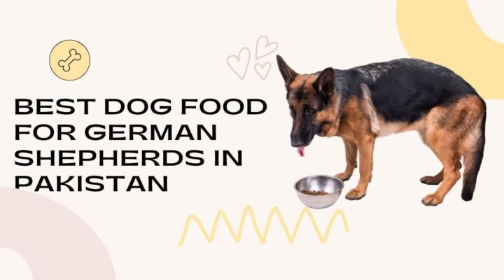 Best Dog Food for German Shepherds in Pakistan