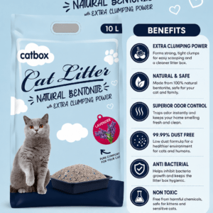 Cat Box Premium Bentonite Cat Litter